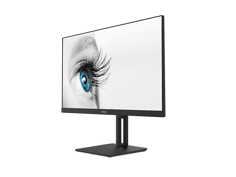 Professional Monitor, IPS, Full HD Anti-Glare, Anti-Flicker (Renewed)