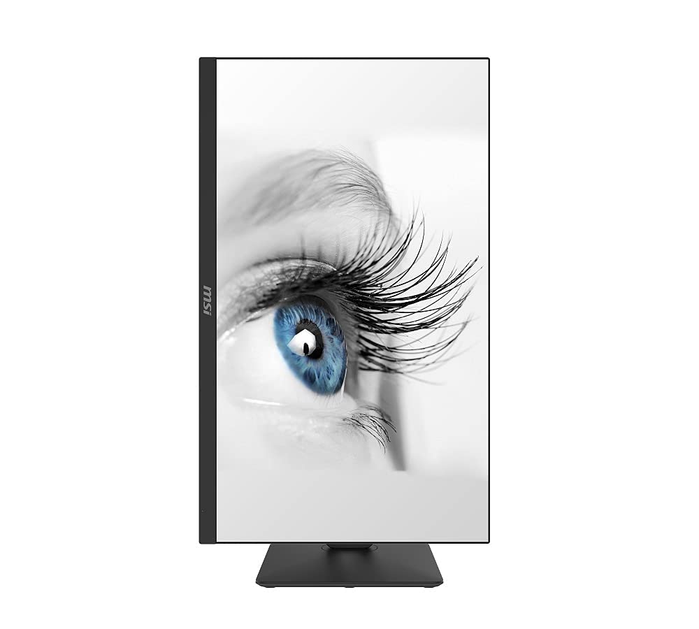 Professional Monitor, IPS, Full HD Anti-Glare, Anti-Flicker (Renewed)
